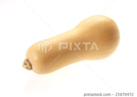 來自新潟的黃油堅果（南瓜） 25870472