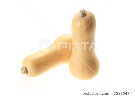 Butter nut (pumpkin) from Niigata 25870474