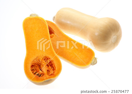 來自新潟的黃油堅果(南瓜) 來自新潟的黃油堅果(南瓜) 25870477