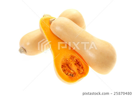 Butter nut (pumpkin) from Niigata Butter nut (pumpkin) from Niigata 25870480