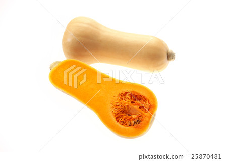 Butter nut (pumpkin) from Niigata 25870481