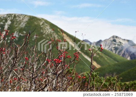 Nanakamado and Shurokotei 25871069