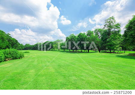 Wachirabenchathat Park 25871200