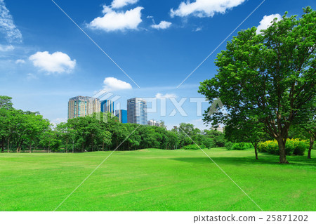 In city parks, lawns 25871202