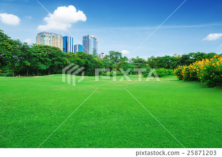 In city parks, lawns 25871203