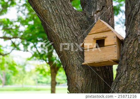 House of the birds in the trees. House of the birds in the trees. 25871216