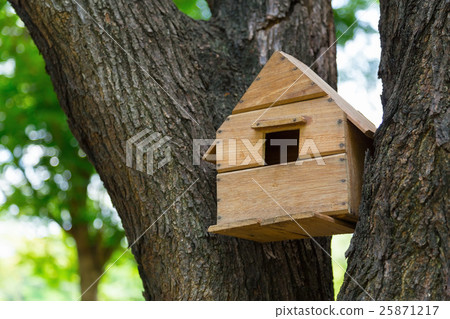 House of the birds in the trees. 25871217