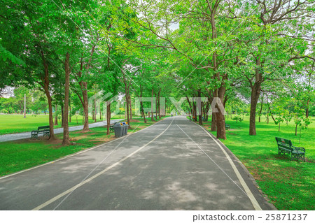 Road to the exercise at Chatuchak Park in Bangkok. 25871237