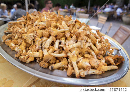 Big pile of chanterelles on a platter Big pile of chanterelles on a platter 25871532