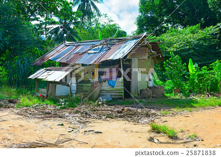 small hut in the jungle 25871838