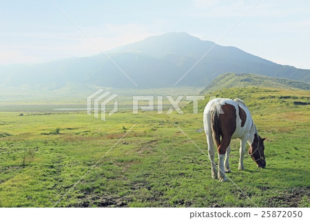 Kusurigahama馬和象山 Kusurigahama馬和象山 25872050