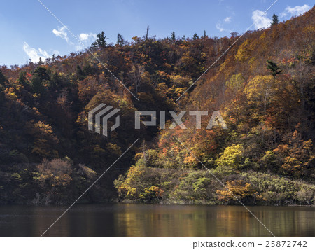 Lake and autumn leaves (Toyama) 25872742