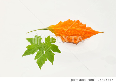 Abstract soft focus of the ripe of balsam apple, b 25873757