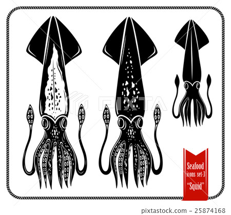 Graphic stencil style vector squids Graphic stencil style vector squids 25874168