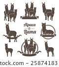 Alpaca and llamas emblems collection. 25874183