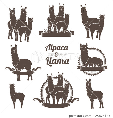 Alpaca and llamas emblems collection. 25874183