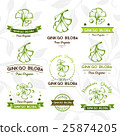 Ginkgo biloba. Badges, labels, emblems collection 25874205