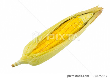 cron open husks on white background 25875367