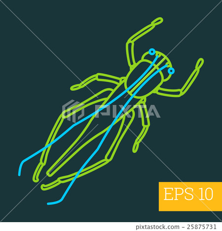 grasshopper insect outline vector 25875731