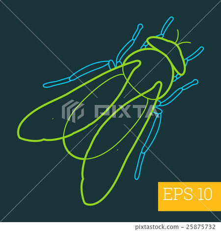 gadfly insect outline vector 25875732