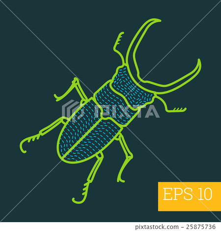 stag beetle insect outline vector 25875736