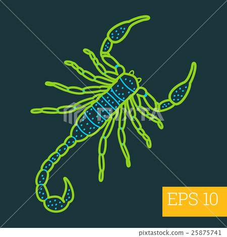 scorpion insect outline vector scorpion insect outline vector 25875741