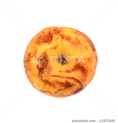 Old dry ribbed apple, yellow apple, rotted, natural texture. Old dry ribbed apple, yellow apple, rotted, natural texture. 25875845