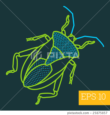 imago insect outline vector 25875857