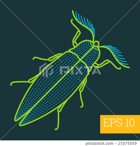 bug insect  outline vector 25875859