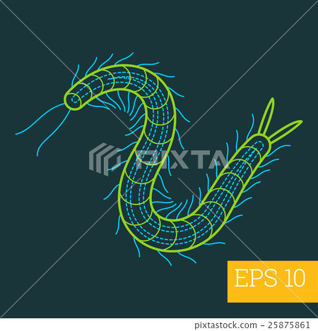 millipede insect outline vector 25875861