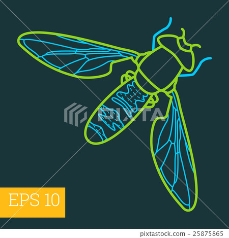 fly insect  outline vector 25875865