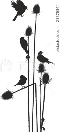 Birdie on a thistle Birdie on a thistle 25876344