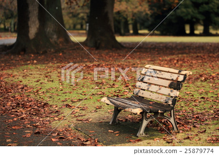 公園的長椅上 25879774