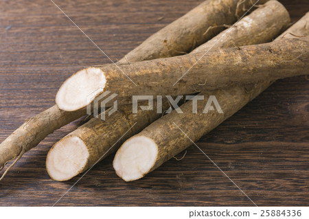 牛蒡3 牛蒡3 25884336