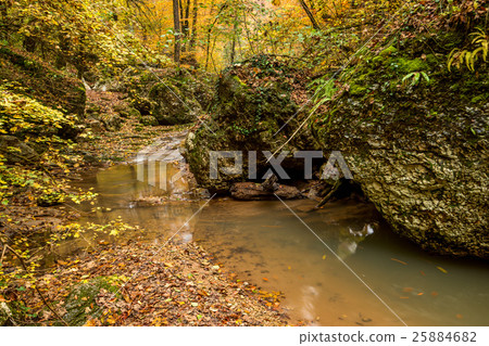 Autumn forest with creek Autumn forest with creek 25884682