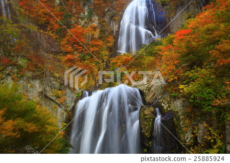 秋天秋天的秋天葉子 25885924