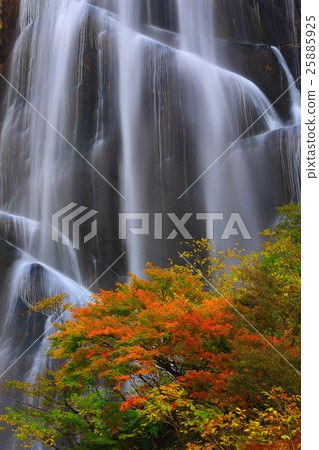 秋天秋天的秋天葉子 25885925