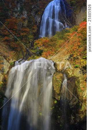 秋天秋天的秋天葉子 25885926