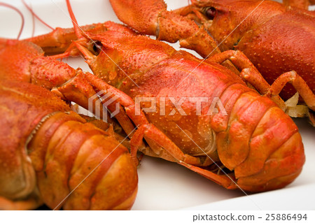 crawfish on a plate 25886494