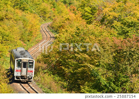 沿著走常設走廊的火車在秋天 沿著走常設走廊的火車在秋天 25887154