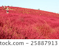 KOKIA 25887913