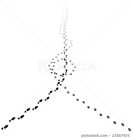 Human and dog tracks walking away. 25887935