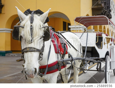 Traditional Horse-Drawn Vehicle in Lima, Peru Traditional Horse-Drawn Vehicle in Lima, Peru 25889556