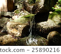 Falling Water 25890216