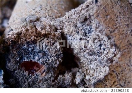 Coal 25890228