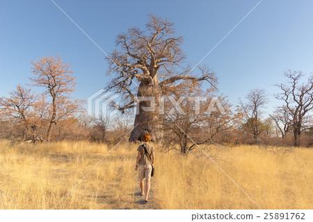 Tourist walking in the african savannah Tourist walking in the african savannah 25891762