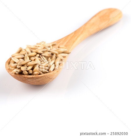 organic oat grains organic oat grains 25892030