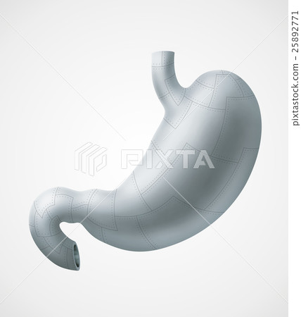 Metal stomach - Stock Illustration [25892771] - PIXTA