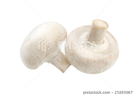 Mushroom champignon isolated on white background Mushroom champignon isolated on white background 25893067