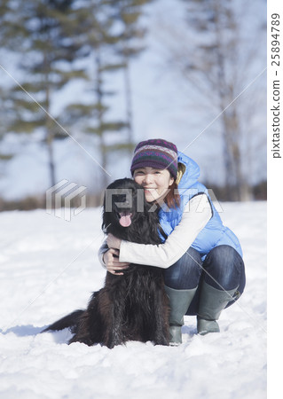 獵犬 25894789